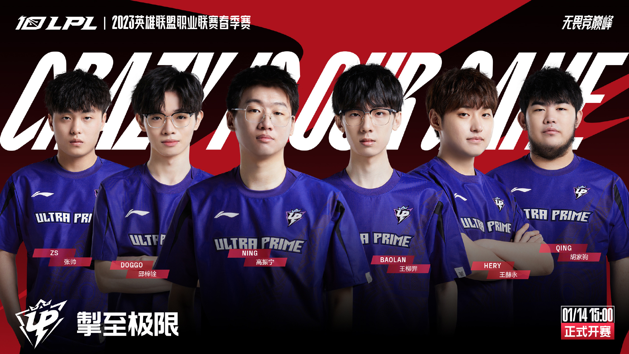 他们不仅代 他们不仅代