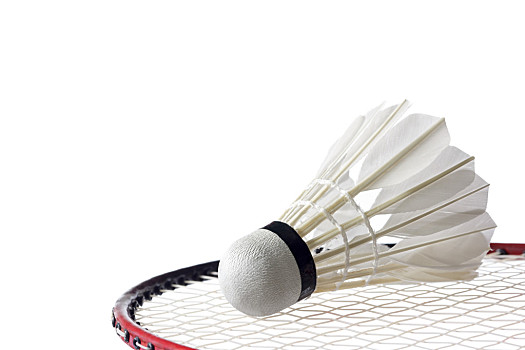 来在国际赛 来在国际赛